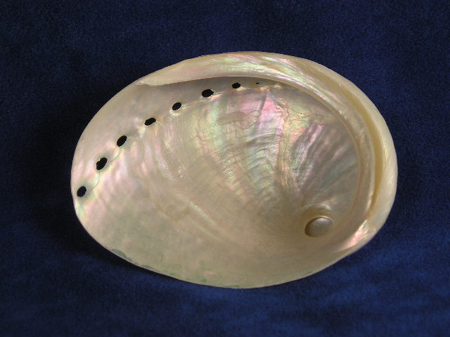 Abalone Color
