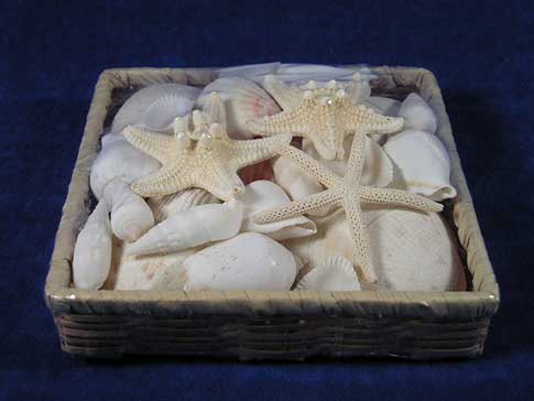 Bamboo seashell basket with white seashells and starfish.