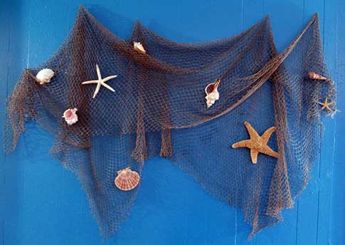 Fish net hung on blue wall decorated with seashells and starfish.