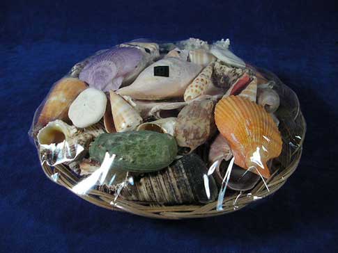 Colorful seashells in a round basket.