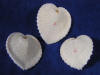 Cardium cardissa heart seashells for sale.
