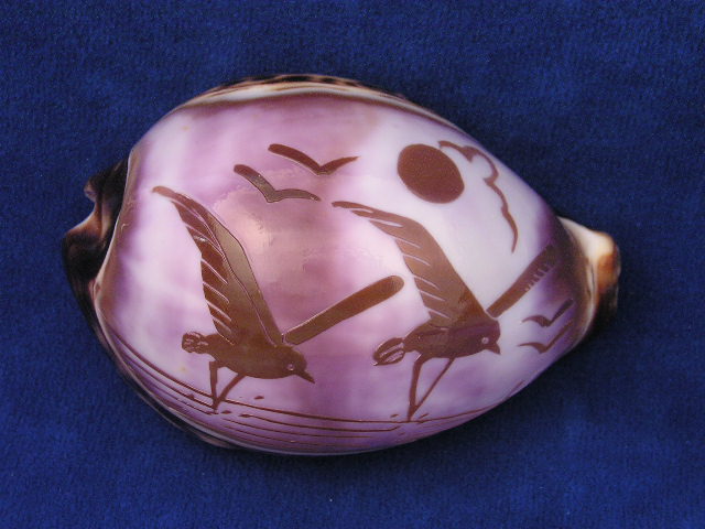 birds carved cowrie