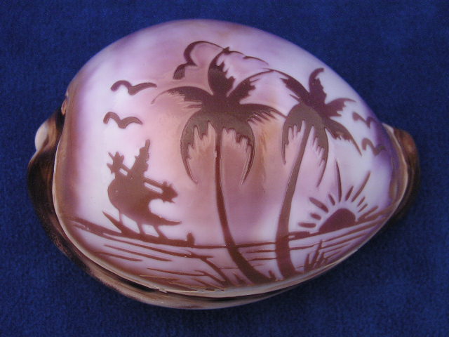 palm trees carved cowrie