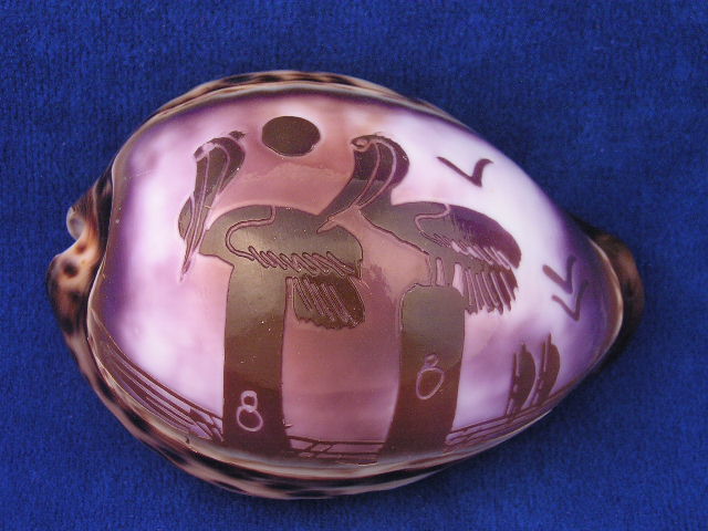 pelicans carved cowrie