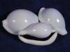 Egg sea shells are white.