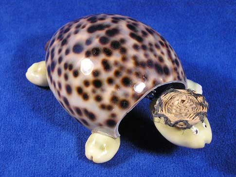 Bobble head turtle with straw hat made from a tiger cowrie and money cowrie sea shells.