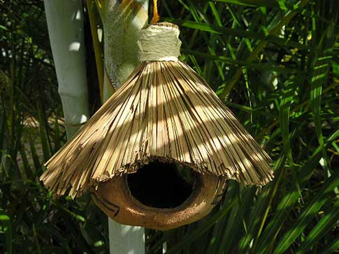Tiki coconut bird house feeder in tropical palm tree setting.