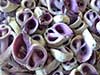 Purple center cut shells.