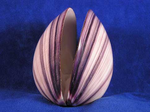 Upright slightly open purple polished heavy cockle clam sea shell.