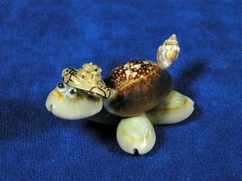 Caput cowrie seashell turtle with straw hat and googly eyes.
