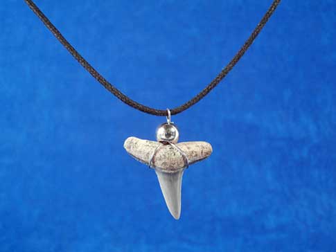 Fossil shark tooth on black cord necklace complimentd by a single silver bead.