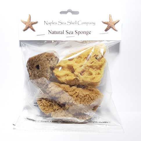 Natural Sea Sponge 3 Pack in bag with header.