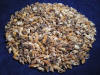 Mixed Nassa craft seashells aka dove sea shells.