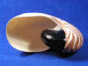 Large aperture of a nautilus pompilius sea shell.