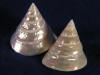 Pearl Trochas shells are great for weddings.