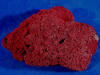 Red Pipe Organ Coral